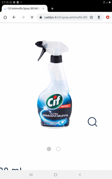 La mia vita. Римские записки, дневник онлайн