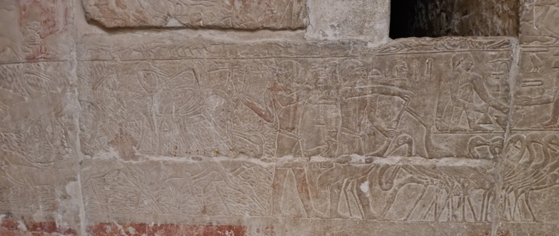 План длинной в треть жизни_Исторический Египет в одиночку+Дахаб_2022