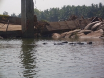 2011г.Пятимесячное путешествие по Индии с маленьким ребёнком