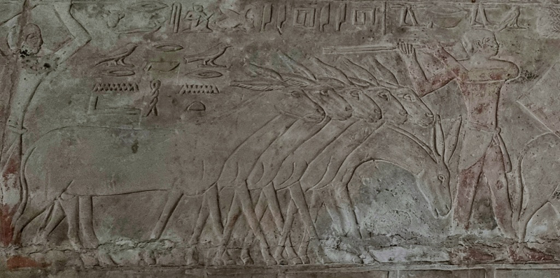 План длинной в треть жизни_Исторический Египет в одиночку+Дахаб_2022