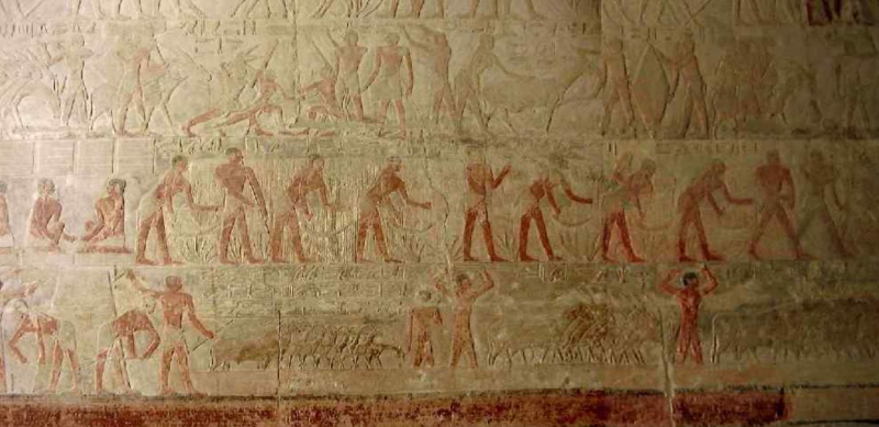 План длинной в треть жизни_Исторический Египет в одиночку+Дахаб_2022