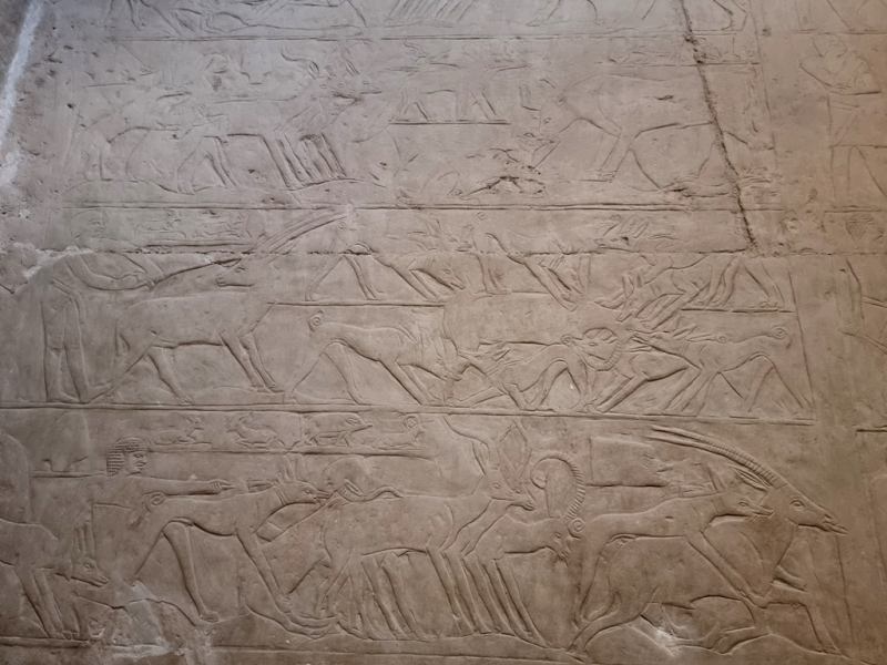 План длинной в треть жизни_Исторический Египет в одиночку+Дахаб_2022