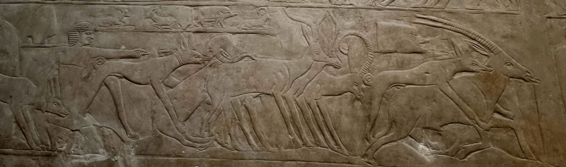 План длинной в треть жизни_Исторический Египет в одиночку+Дахаб_2022
