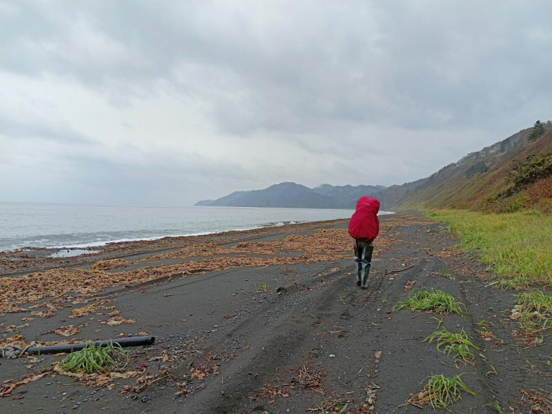 Сто километров пешком по югу острова Сахалин в октябре 2022 года