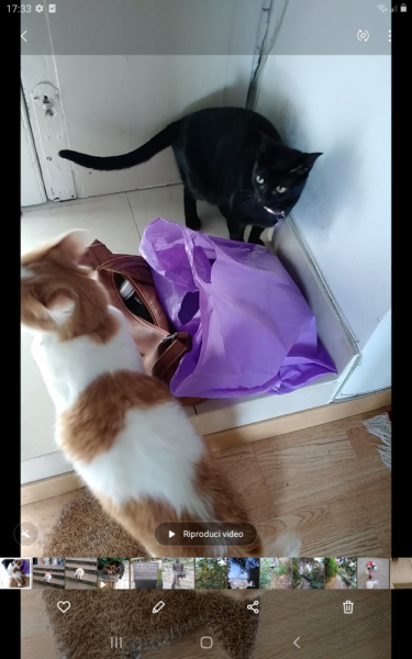 La mia vita. Римские записки, дневник онлайн