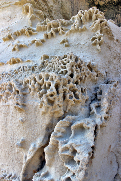 Достопримечательности Крыма: Феодосия, Коктебель, Судак, Нов свет, Ялта, Гурзуф, Ай-Петри. Фиолент Балаклава, Бахчисарай, Алушта, Евпатория, Тарханкут