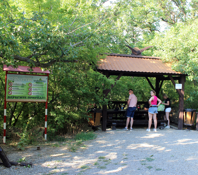 Достопримечательности Крыма: Феодосия, Коктебель, Судак, Нов свет, Ялта, Гурзуф, Ай-Петри. Фиолент Балаклава, Бахчисарай, Алушта, Евпатория, Тарханкут