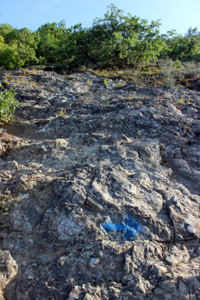 Достопримечательности Крыма: Феодосия, Коктебель, Судак, Нов свет, Ялта, Гурзуф, Ай-Петри. Фиолент Балаклава, Бахчисарай, Алушта, Евпатория, Тарханкут