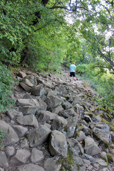 Достопримечательности Крыма: Феодосия, Коктебель, Судак, Нов свет, Ялта, Гурзуф, Ай-Петри. Фиолент Балаклава, Бахчисарай, Алушта, Евпатория, Тарханкут