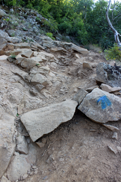 Достопримечательности Крыма: Феодосия, Коктебель, Судак, Нов свет, Ялта, Гурзуф, Ай-Петри. Фиолент Балаклава, Бахчисарай, Алушта, Евпатория, Тарханкут