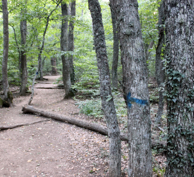 Достопримечательности Крыма: Феодосия, Коктебель, Судак, Нов свет, Ялта, Гурзуф, Ай-Петри. Фиолент Балаклава, Бахчисарай, Алушта, Евпатория, Тарханкут