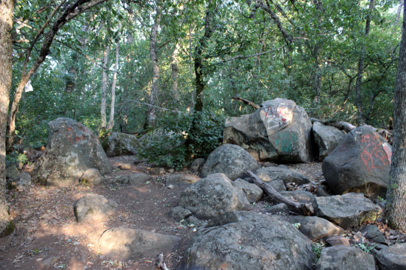 Достопримечательности Крыма: Феодосия, Коктебель, Судак, Нов свет, Ялта, Гурзуф, Ай-Петри. Фиолент Балаклава, Бахчисарай, Алушта, Евпатория, Тарханкут