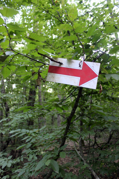 Достопримечательности Крыма: Феодосия, Коктебель, Судак, Нов свет, Ялта, Гурзуф, Ай-Петри. Фиолент Балаклава, Бахчисарай, Алушта, Евпатория, Тарханкут