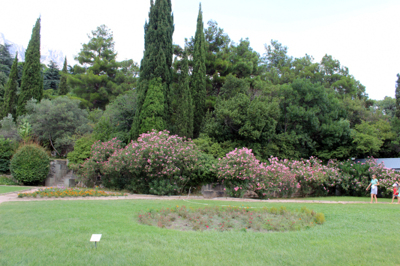 Достопримечательности Крыма: Феодосия, Коктебель, Судак, Нов свет, Ялта, Гурзуф, Ай-Петри. Фиолент Балаклава, Бахчисарай, Алушта, Евпатория, Тарханкут