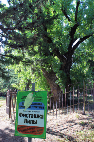 Достопримечательности Крыма: Феодосия, Коктебель, Судак, Нов свет, Ялта, Гурзуф, Ай-Петри. Фиолент Балаклава, Бахчисарай, Алушта, Евпатория, Тарханкут