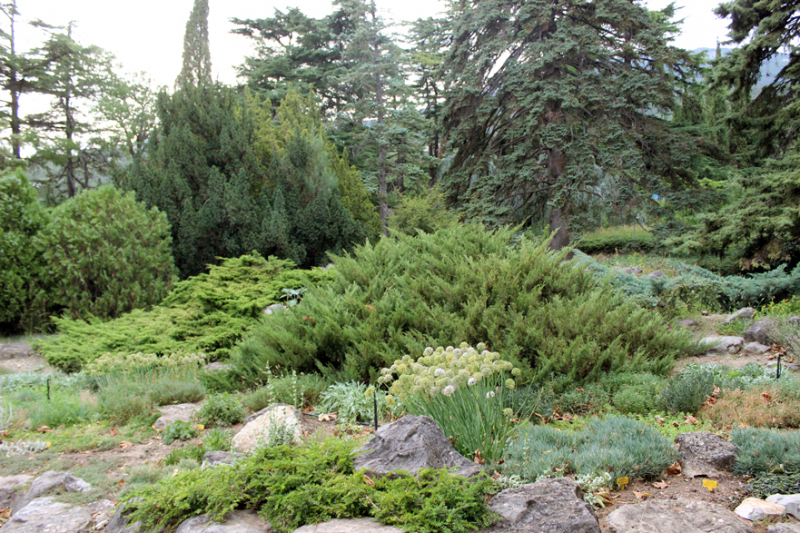 Достопримечательности Крыма: Феодосия, Коктебель, Судак, Нов свет, Ялта, Гурзуф, Ай-Петри. Фиолент Балаклава, Бахчисарай, Алушта, Евпатория, Тарханкут