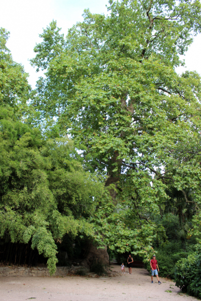 Достопримечательности Крыма: Феодосия, Коктебель, Судак, Нов свет, Ялта, Гурзуф, Ай-Петри. Фиолент Балаклава, Бахчисарай, Алушта, Евпатория, Тарханкут