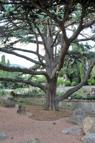 Достопримечательности Крыма: Феодосия, Коктебель, Судак, Нов свет, Ялта, Гурзуф, Ай-Петри. Фиолент Балаклава, Бахчисарай, Алушта, Евпатория, Тарханкут