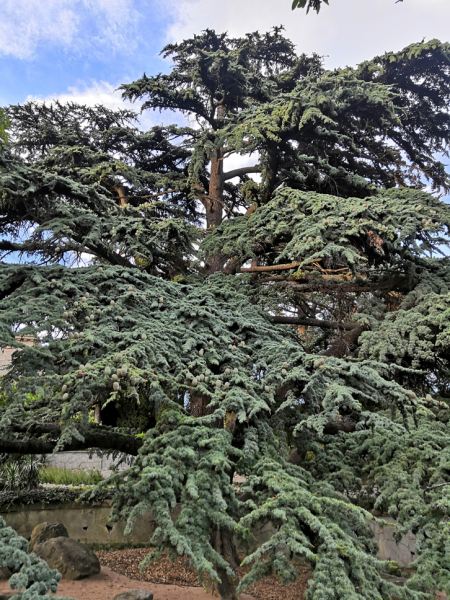 Достопримечательности Крыма: Феодосия, Коктебель, Судак, Нов свет, Ялта, Гурзуф, Ай-Петри. Фиолент Балаклава, Бахчисарай, Алушта, Евпатория, Тарханкут