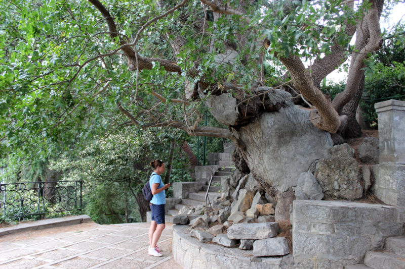 Достопримечательности Крыма: Феодосия, Коктебель, Судак, Нов свет, Ялта, Гурзуф, Ай-Петри. Фиолент Балаклава, Бахчисарай, Алушта, Евпатория, Тарханкут