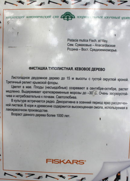 Достопримечательности Крыма: Феодосия, Коктебель, Судак, Нов свет, Ялта, Гурзуф, Ай-Петри. Фиолент Балаклава, Бахчисарай, Алушта, Евпатория, Тарханкут