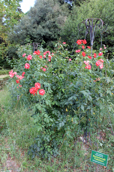 Достопримечательности Крыма: Феодосия, Коктебель, Судак, Нов свет, Ялта, Гурзуф, Ай-Петри. Фиолент Балаклава, Бахчисарай, Алушта, Евпатория, Тарханкут