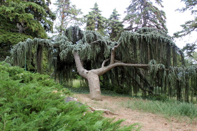Достопримечательности Крыма: Феодосия, Коктебель, Судак, Нов свет, Ялта, Гурзуф, Ай-Петри. Фиолент Балаклава, Бахчисарай, Алушта, Евпатория, Тарханкут