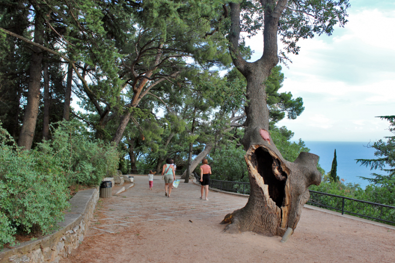 Достопримечательности Крыма: Феодосия, Коктебель, Судак, Нов свет, Ялта, Гурзуф, Ай-Петри. Фиолент Балаклава, Бахчисарай, Алушта, Евпатория, Тарханкут