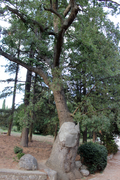 Достопримечательности Крыма: Феодосия, Коктебель, Судак, Нов свет, Ялта, Гурзуф, Ай-Петри. Фиолент Балаклава, Бахчисарай, Алушта, Евпатория, Тарханкут