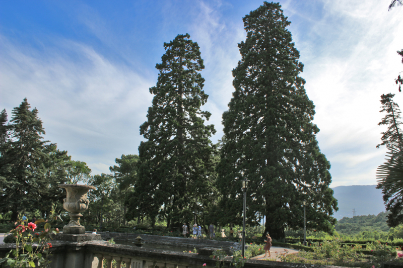 Достопримечательности Крыма: Феодосия, Коктебель, Судак, Нов свет, Ялта, Гурзуф, Ай-Петри. Фиолент Балаклава, Бахчисарай, Алушта, Евпатория, Тарханкут