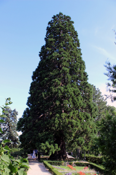 Достопримечательности Крыма: Феодосия, Коктебель, Судак, Нов свет, Ялта, Гурзуф, Ай-Петри. Фиолент Балаклава, Бахчисарай, Алушта, Евпатория, Тарханкут