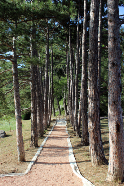 Достопримечательности Крыма: Феодосия, Коктебель, Судак, Нов свет, Ялта, Гурзуф, Ай-Петри. Фиолент Балаклава, Бахчисарай, Алушта, Евпатория, Тарханкут