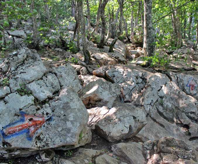 Достопримечательности Крыма: Феодосия, Коктебель, Судак, Нов свет, Ялта, Гурзуф, Ай-Петри. Фиолент Балаклава, Бахчисарай, Алушта, Евпатория, Тарханкут
