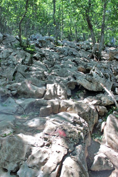 Достопримечательности Крыма: Феодосия, Коктебель, Судак, Нов свет, Ялта, Гурзуф, Ай-Петри. Фиолент Балаклава, Бахчисарай, Алушта, Евпатория, Тарханкут