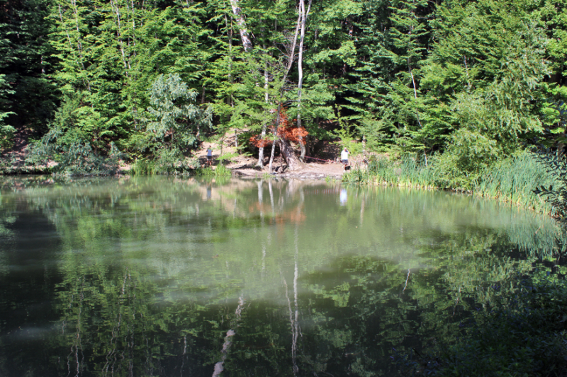 Достопримечательности Крыма: Феодосия, Коктебель, Судак, Нов свет, Ялта, Гурзуф, Ай-Петри. Фиолент Балаклава, Бахчисарай, Алушта, Евпатория, Тарханкут