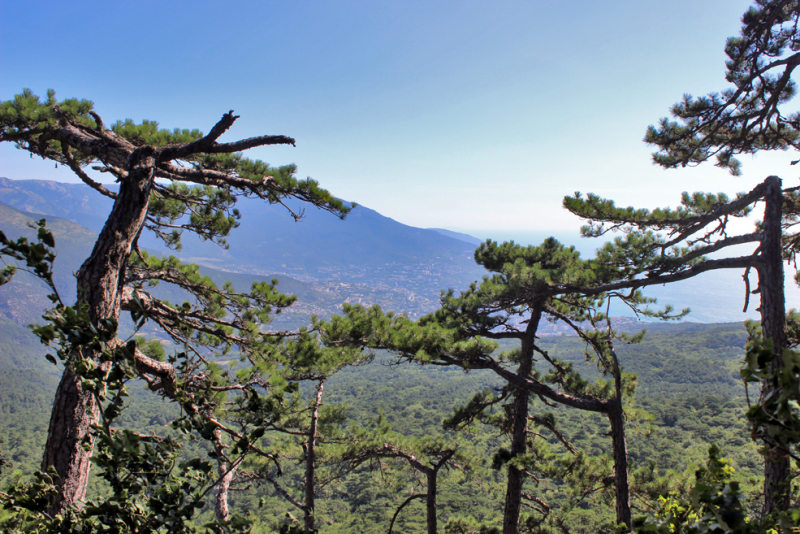 Достопримечательности Крыма: Феодосия, Коктебель, Судак, Нов свет, Ялта, Гурзуф, Ай-Петри. Фиолент Балаклава, Бахчисарай, Алушта, Евпатория, Тарханкут