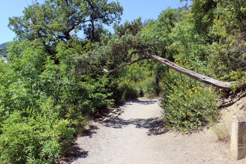 Достопримечательности Крыма: Феодосия, Коктебель, Судак, Нов свет, Ялта, Гурзуф, Ай-Петри. Фиолент Балаклава, Бахчисарай, Алушта, Евпатория, Тарханкут