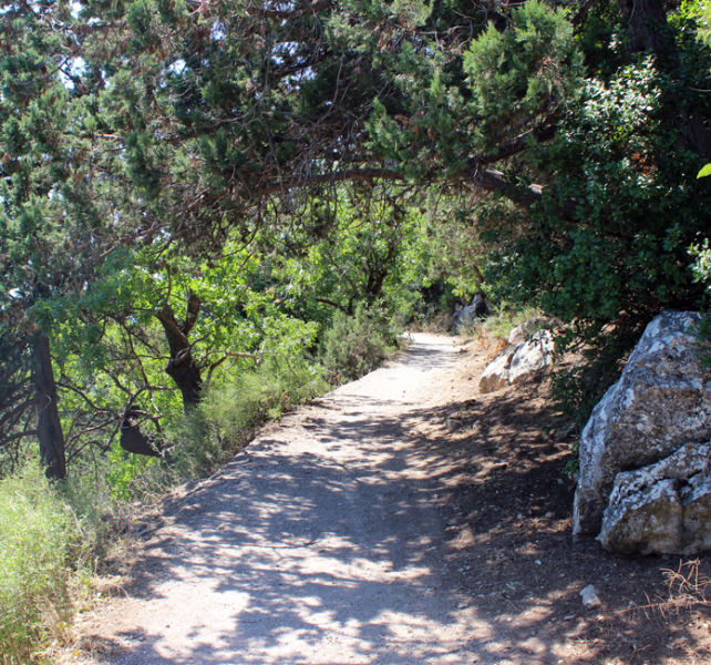 Достопримечательности Крыма: Феодосия, Коктебель, Судак, Нов свет, Ялта, Гурзуф, Ай-Петри. Фиолент Балаклава, Бахчисарай, Алушта, Евпатория, Тарханкут