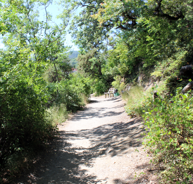 Достопримечательности Крыма: Феодосия, Коктебель, Судак, Нов свет, Ялта, Гурзуф, Ай-Петри. Фиолент Балаклава, Бахчисарай, Алушта, Евпатория, Тарханкут