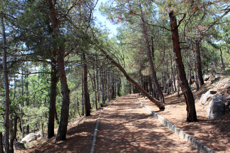 Достопримечательности Крыма: Феодосия, Коктебель, Судак, Нов свет, Ялта, Гурзуф, Ай-Петри. Фиолент Балаклава, Бахчисарай, Алушта, Евпатория, Тарханкут