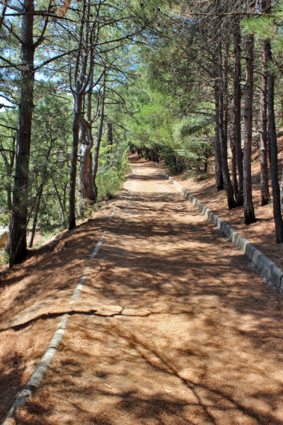 Достопримечательности Крыма: Феодосия, Коктебель, Судак, Нов свет, Ялта, Гурзуф, Ай-Петри. Фиолент Балаклава, Бахчисарай, Алушта, Евпатория, Тарханкут