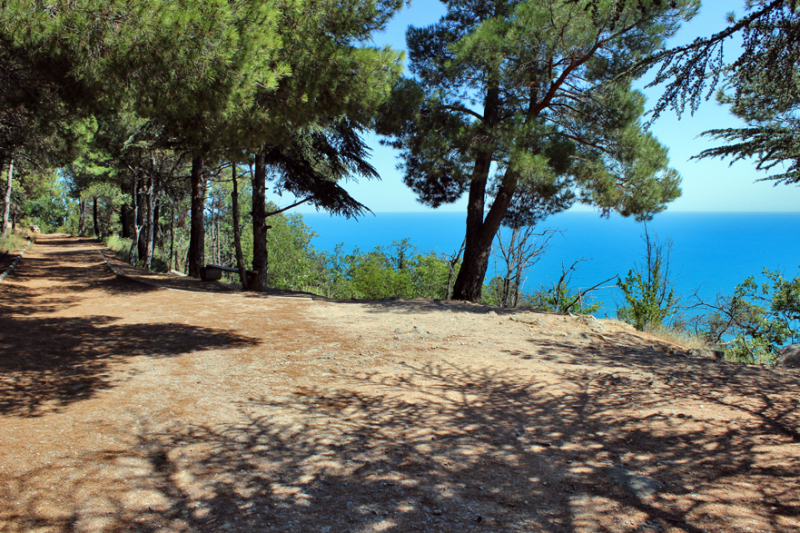 Достопримечательности Крыма: Феодосия, Коктебель, Судак, Нов свет, Ялта, Гурзуф, Ай-Петри. Фиолент Балаклава, Бахчисарай, Алушта, Евпатория, Тарханкут