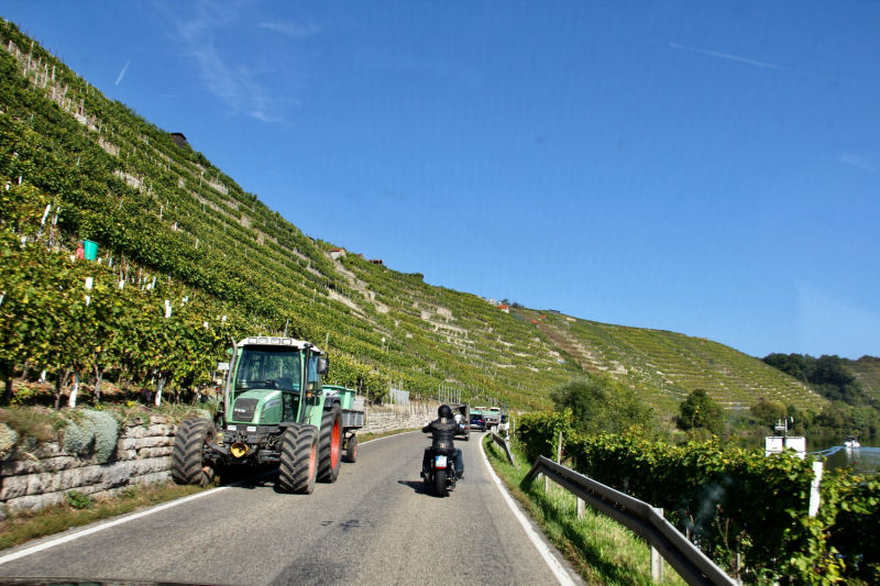 Осенний марафон 2021 г.