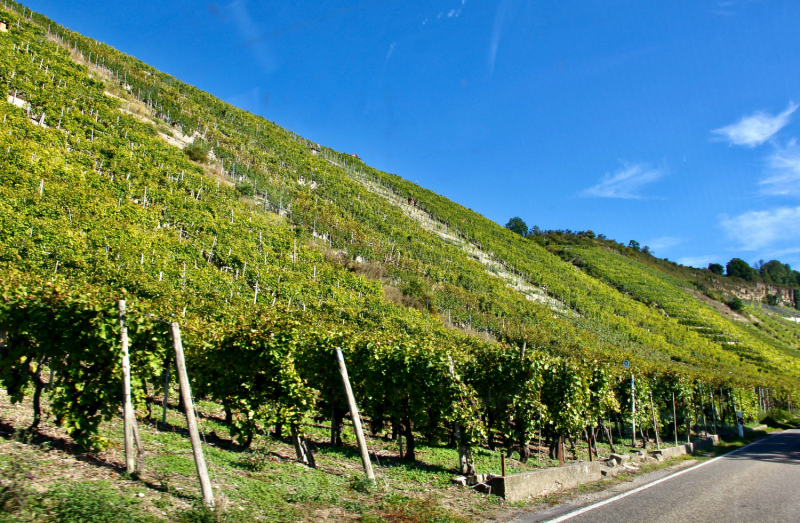 Осенний марафон 2021 г.