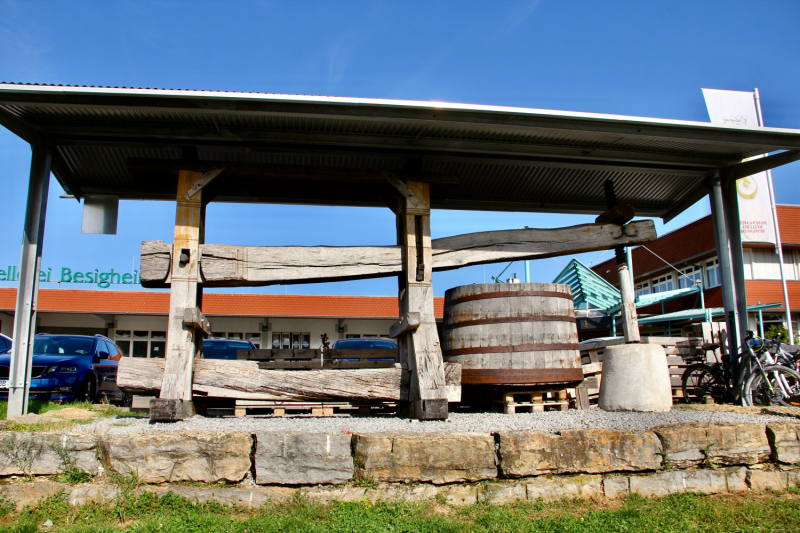 Осенний марафон 2021 г.