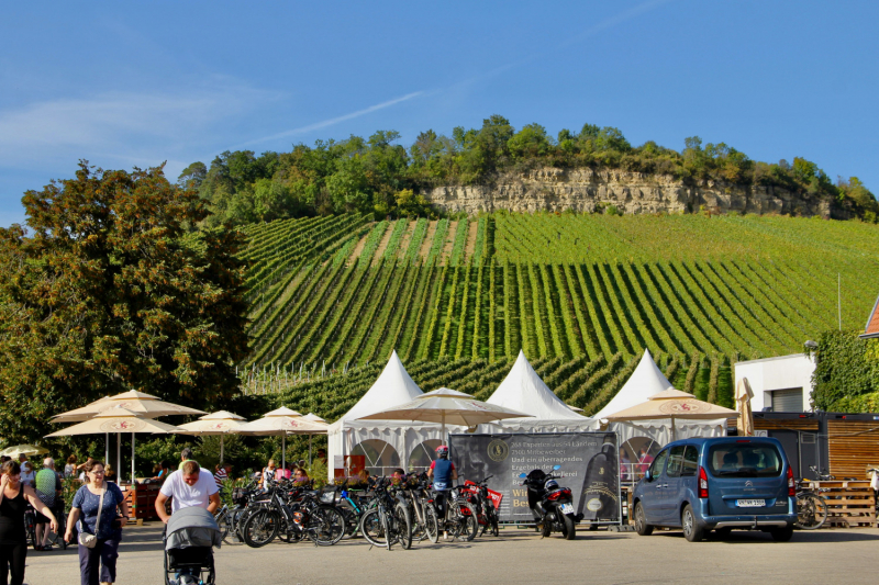 Осенний марафон 2021 г.