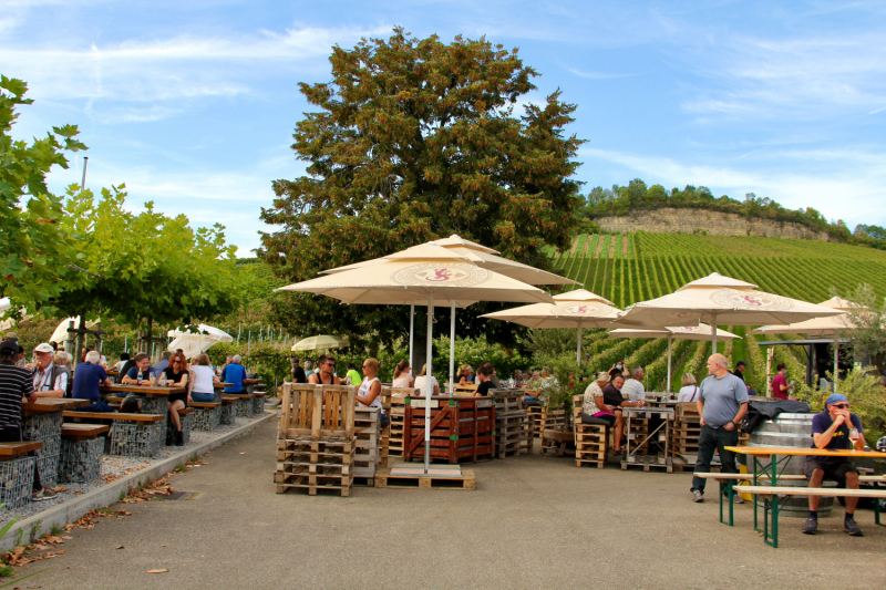 Осенний марафон 2021 г.