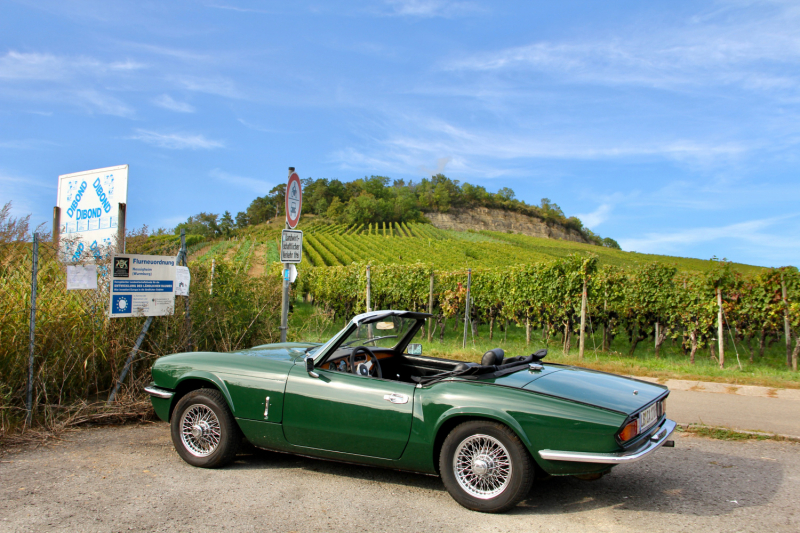 Осенний марафон 2021 г.