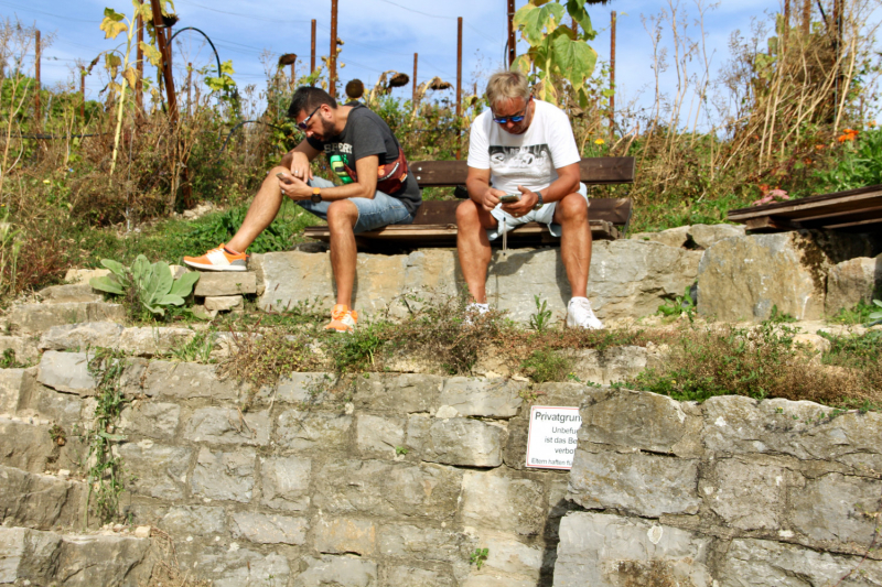 Осенний марафон 2021 г.