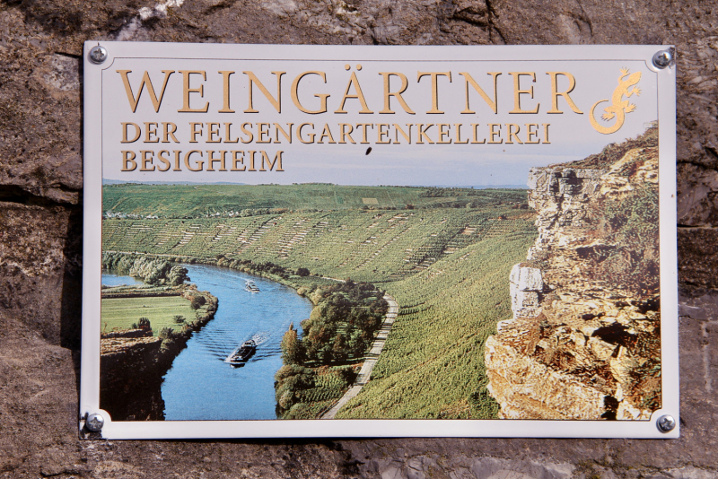 Осенний марафон 2021 г.